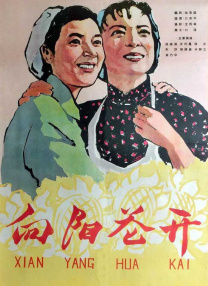 撩妹专家